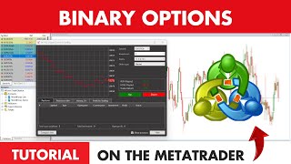 MetaTrader'de (MT4/MT5) İkili Opsiyon ticareti nasıl yapılır - Eğitim
